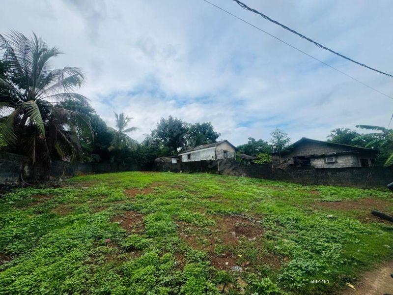 Bare Land for sale in Panadura
