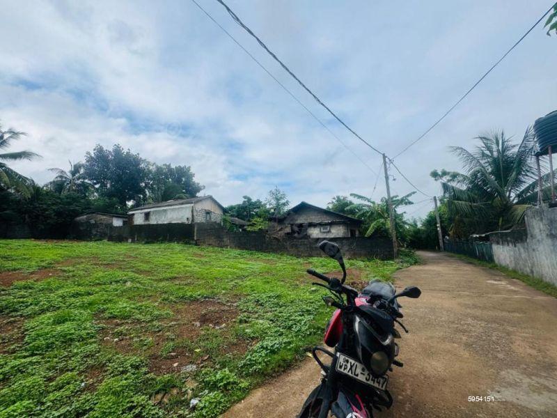 Bare Land for sale in Panadura