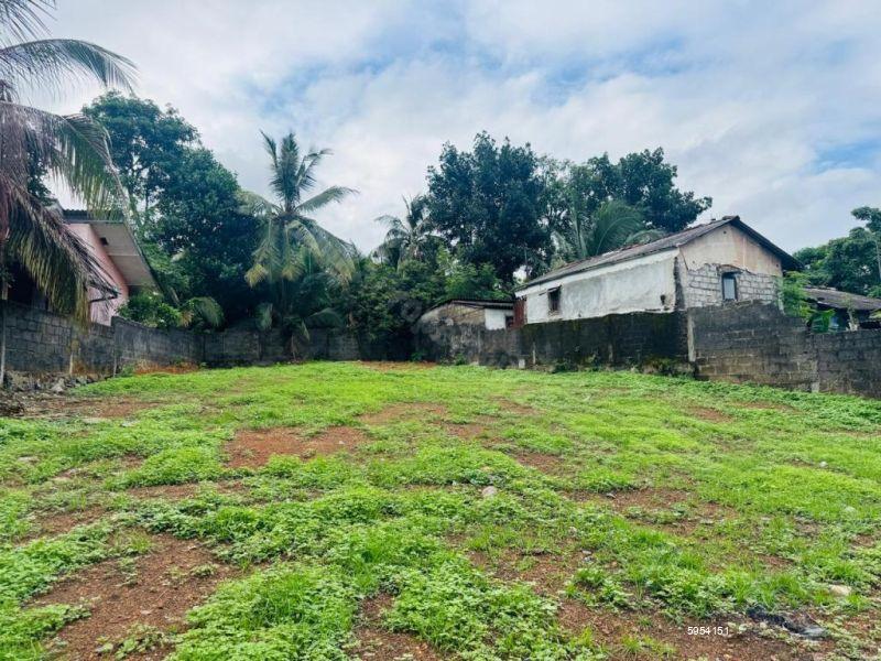 Bare Land for sale in Panadura