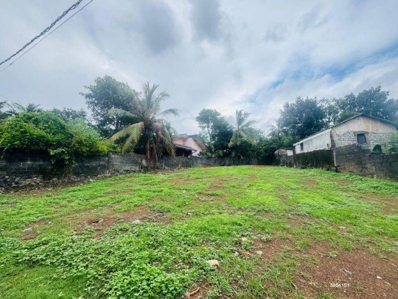 Bare Land for sale in Panadura