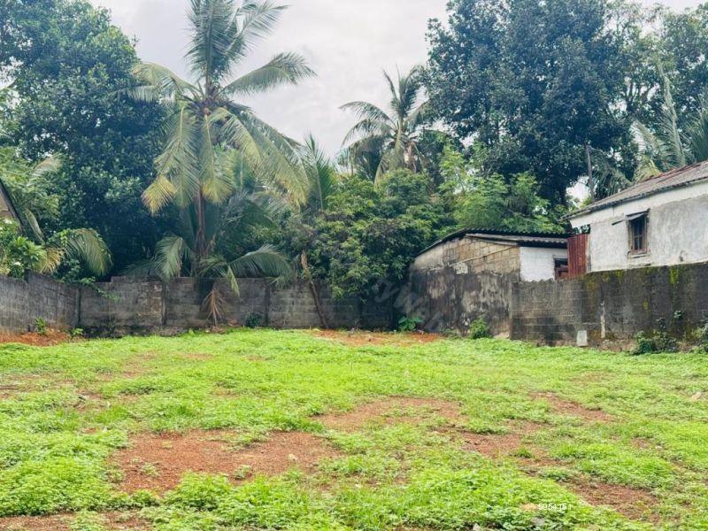 Bare Land for sale in Panadura