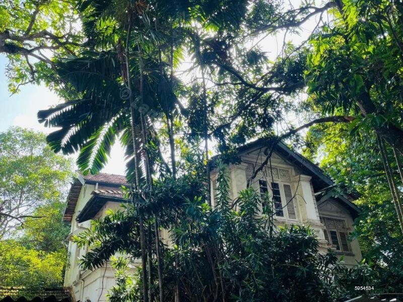 Commercial for rent in Colombo 3