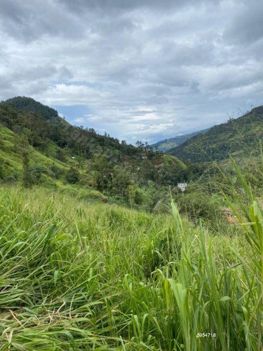 Tea land for sale in Kegalle