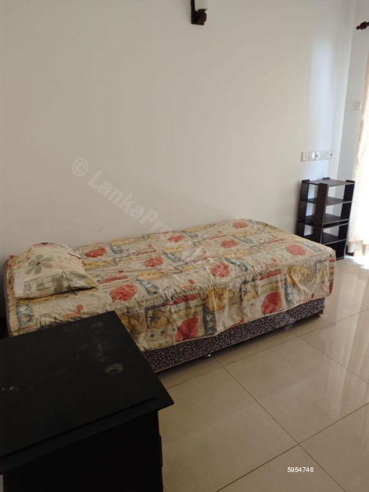 Bedroom - Apartment for rent in Colombo 3