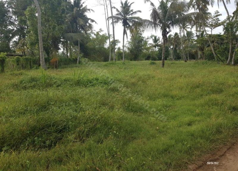Bare Land for sale in Kandana