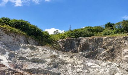Bare Land