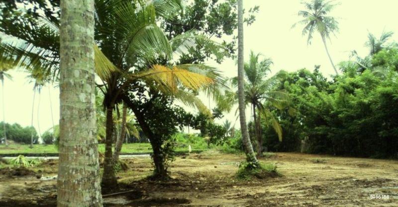 Beachfront land for sale in Kosgoda