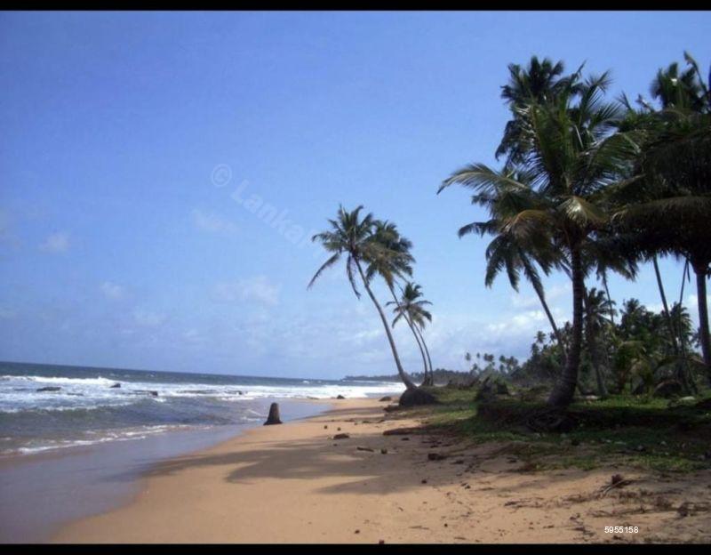 Beachfront land for sale in Kosgoda