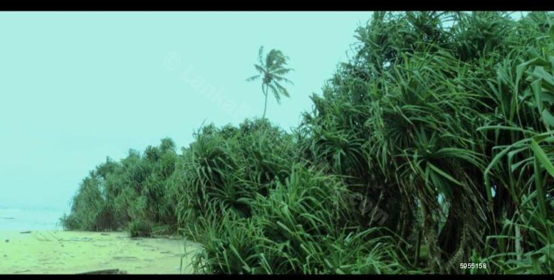 Beachfront land for sale in Kosgoda