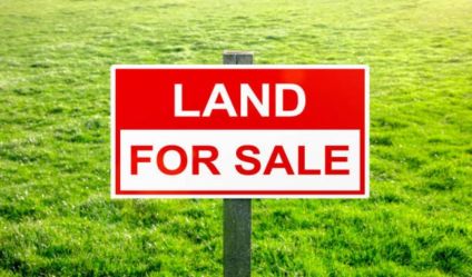 Bare Land