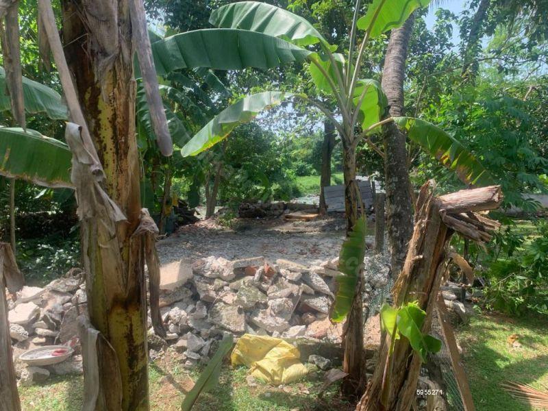 Bare Land for sale in Nawala