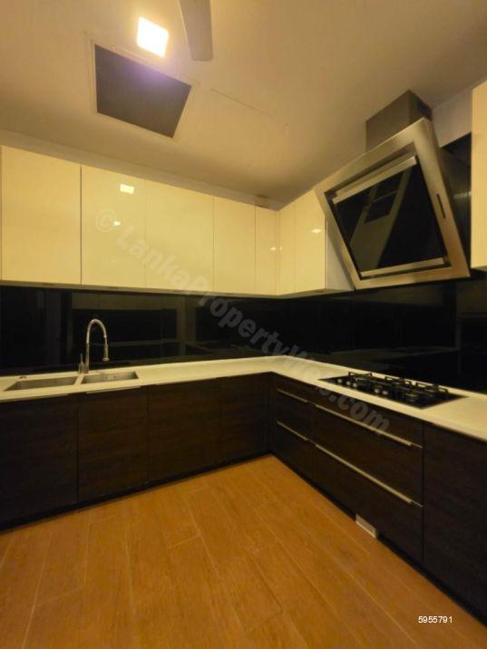 Kitchen - Apartment for rent in Colombo 7