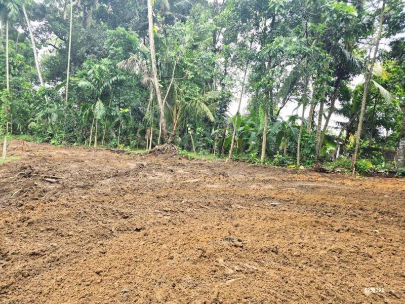 Bare Land for sale in Homagama