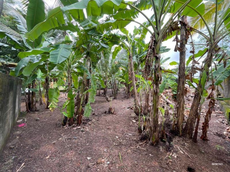 Bare Land for sale in Kadawatha