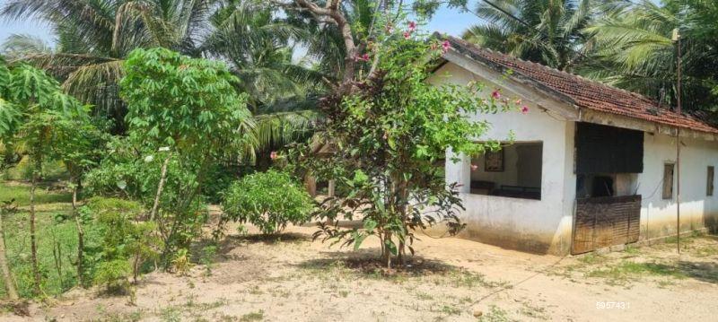 Coconut land for sale in Batticaloa