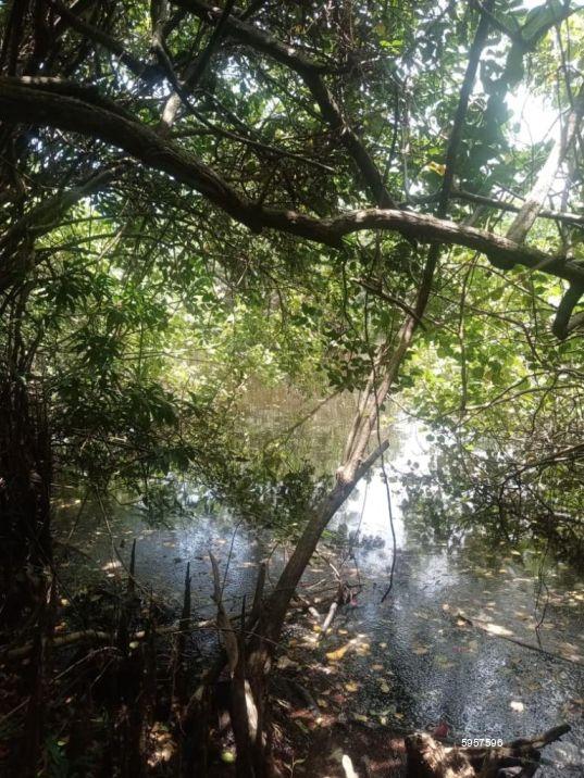 Mirissa Bare Land for sale/rent
