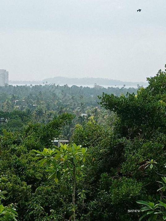 Weligama Bare Land for sale/rent