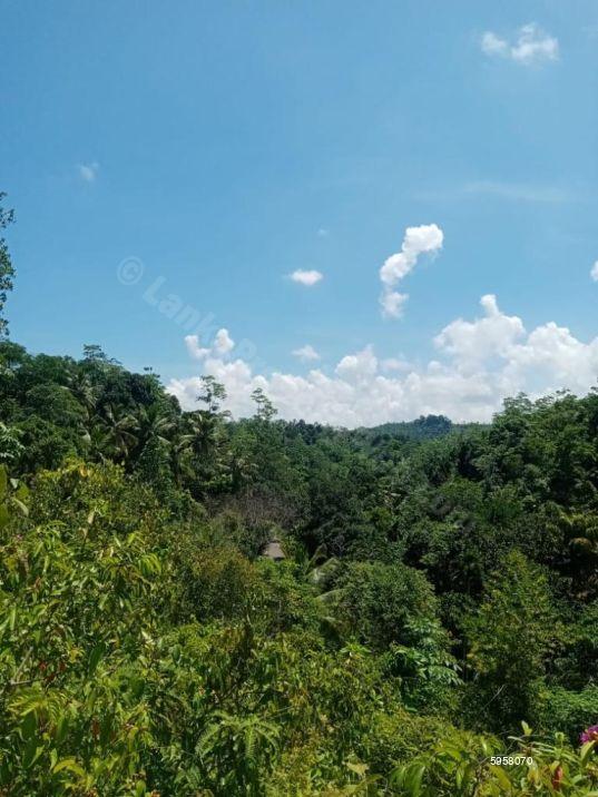 Weligama Land with house for sale/rent