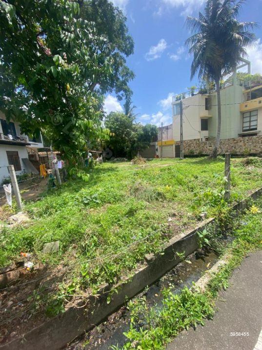 Bare Land for sale in Nawala