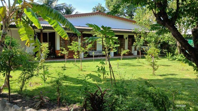Exterior - House for rent in Mount Lavinia