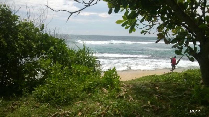 Mirissa Beachfront land for sale/rent