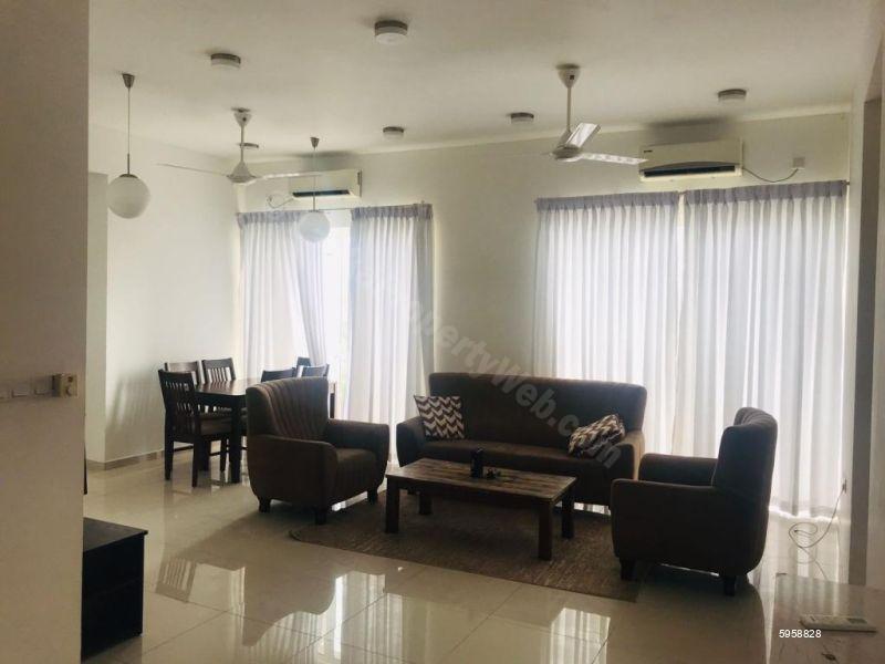 Living Room - Apartment for rent in Colombo 7