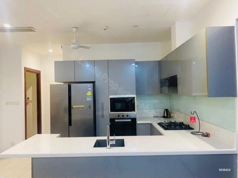 Kitchen - Apartment for rent in Colombo 7