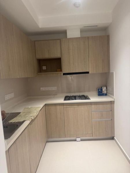 Kitchen - Trizen/brand new/high-end furnished/03beds/for rent in Colombo - 02.