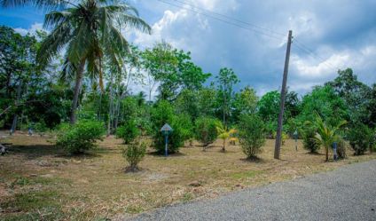 Bare Land