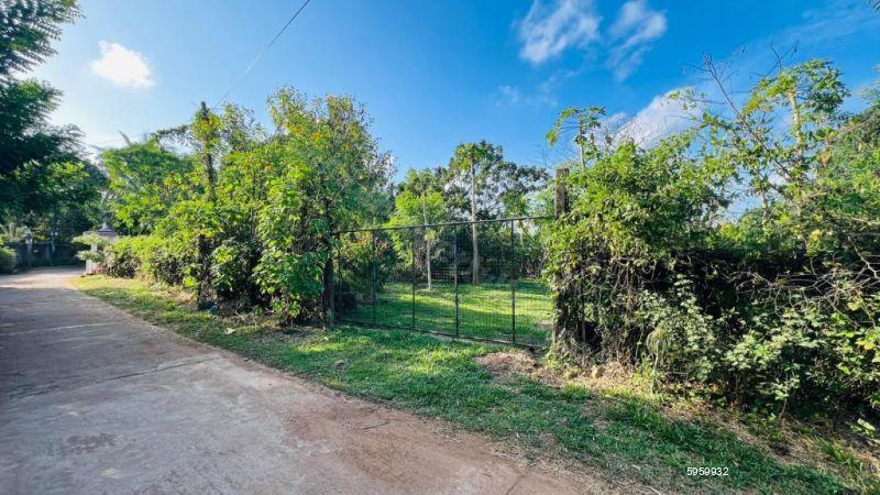 Cultivated Land for sale in Kalutara
