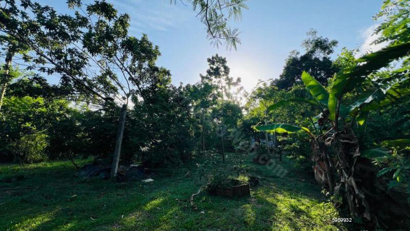 Cultivated Land for sale in Kalutara