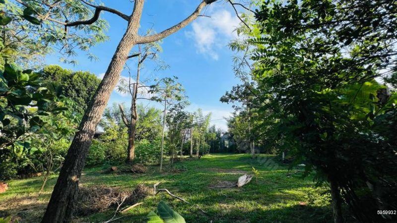 Cultivated Land for sale in Kalutara