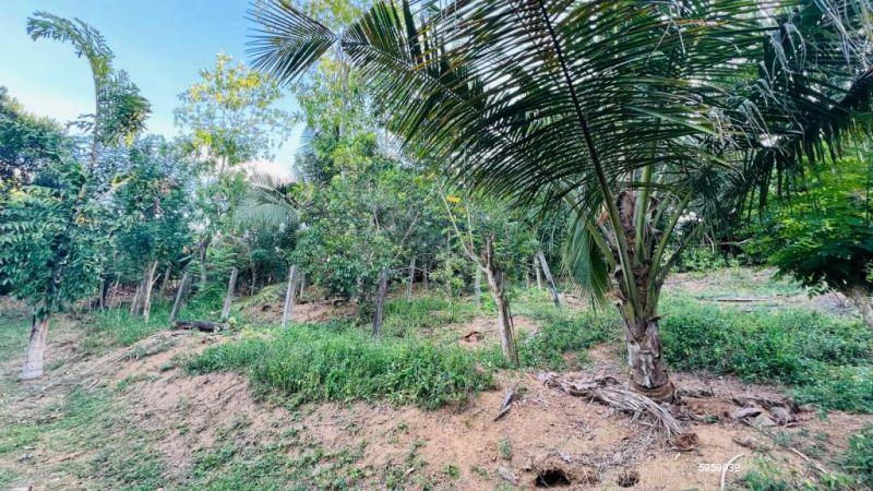 Cultivated Land for sale in Kalutara