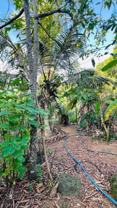 Cultivated Land for sale in Kalutara