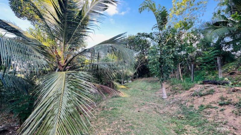 Cultivated Land for sale in Kalutara