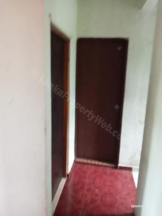 House for rent in Elpitiya