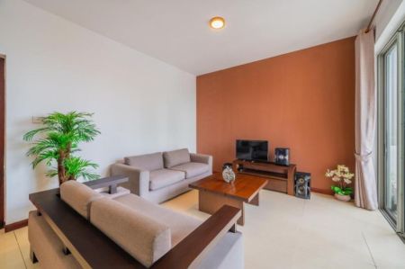 Living Room - On320/Furnished/2 Bedroom Apartment for rent in Colombo 2