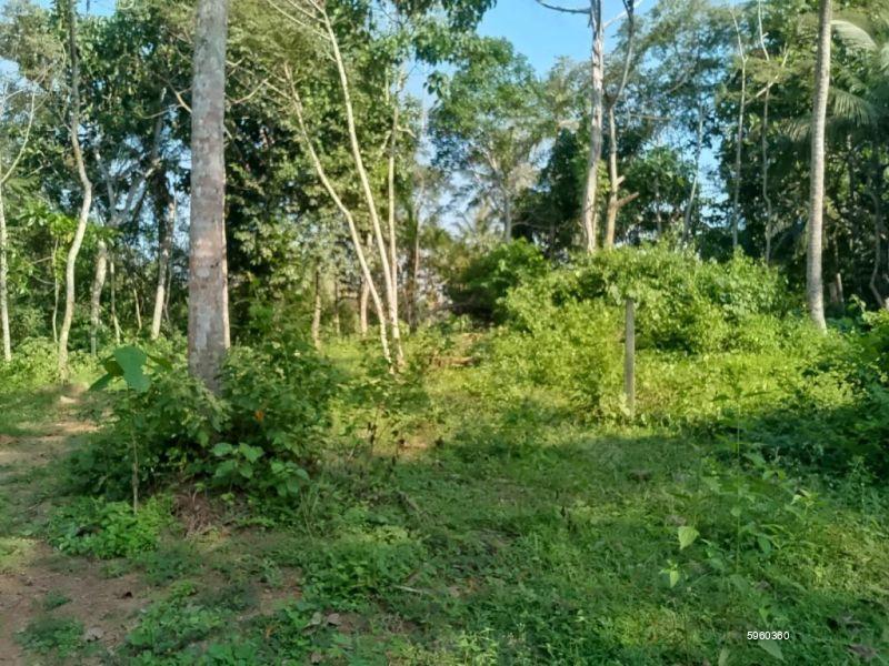 Hiriketiya Bare Land for sale/rent