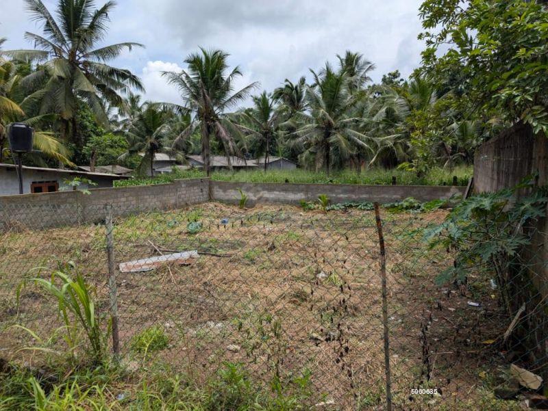 Bare Land for sale in Homagama