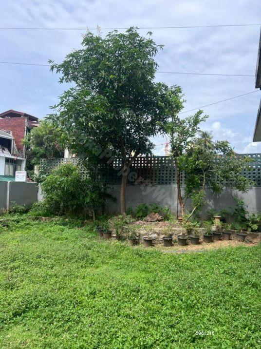 Commercial for rent in Colombo 3