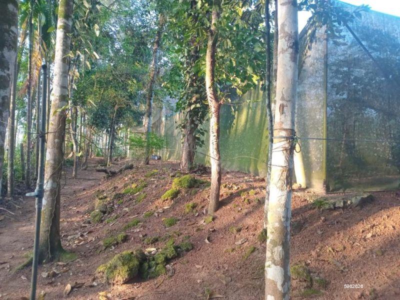 Cultivated Land for sale in Horana