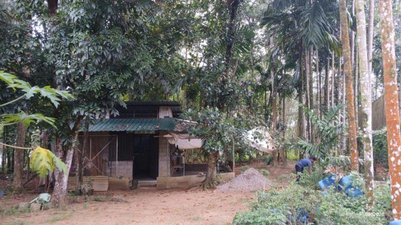 Cultivated Land for sale in Horana