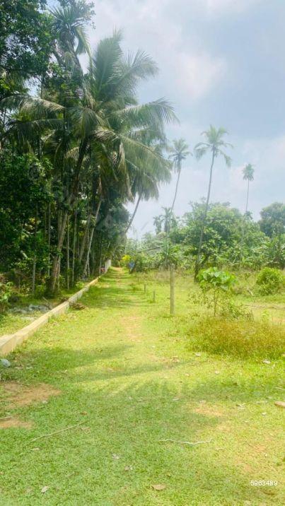 Bare Land for sale in Kadawatha