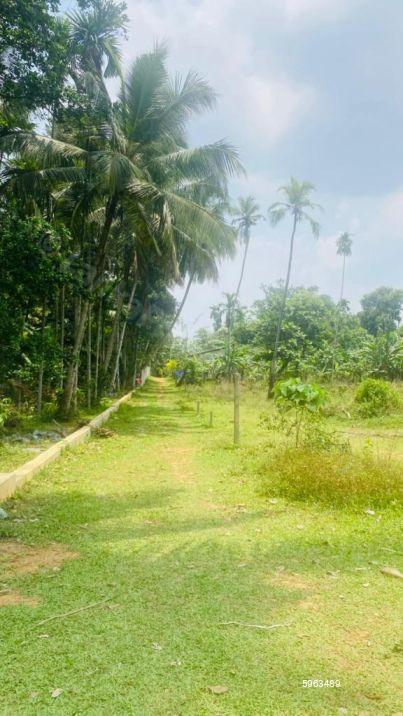 Bare Land for sale in Kadawatha