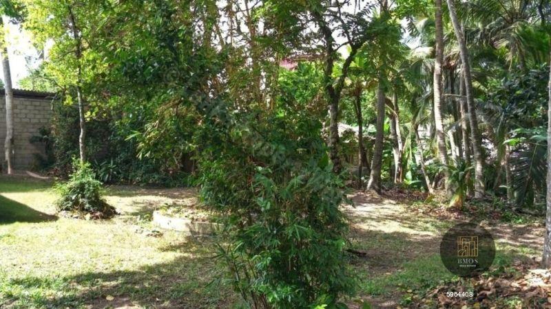 Bare Land for sale in Gothatuwa