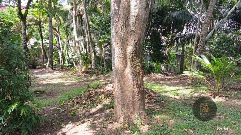 Bare Land for sale in Gothatuwa