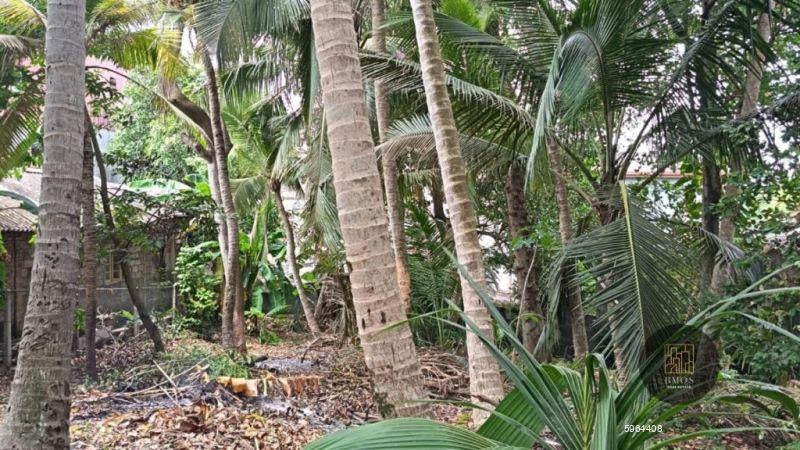 Bare Land for sale in Gothatuwa