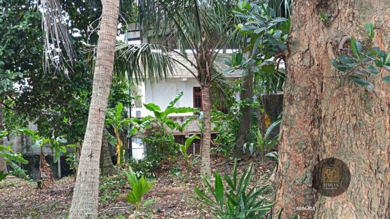 Bare Land for sale in Gothatuwa
