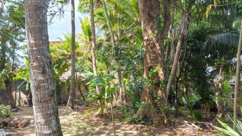 Bare Land for sale in Gothatuwa