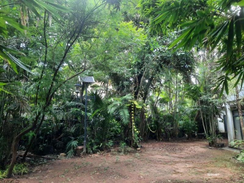 Bare Land for sale in Nawala